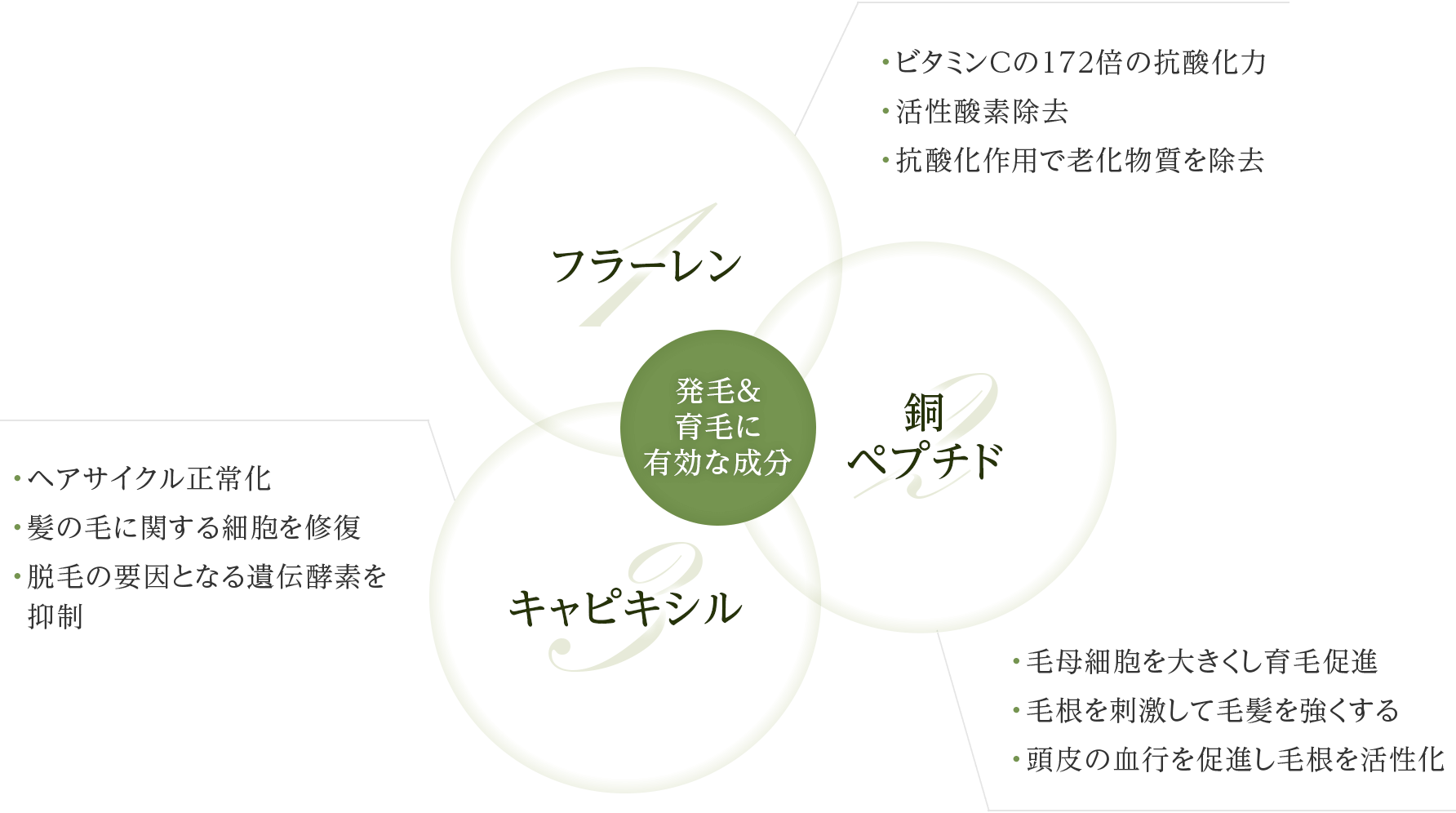 発毛＆育毛に有効な成分 フラーレン・銅ペプチド・キャピキシル